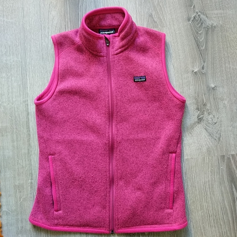 Patagonia better sweater vest!